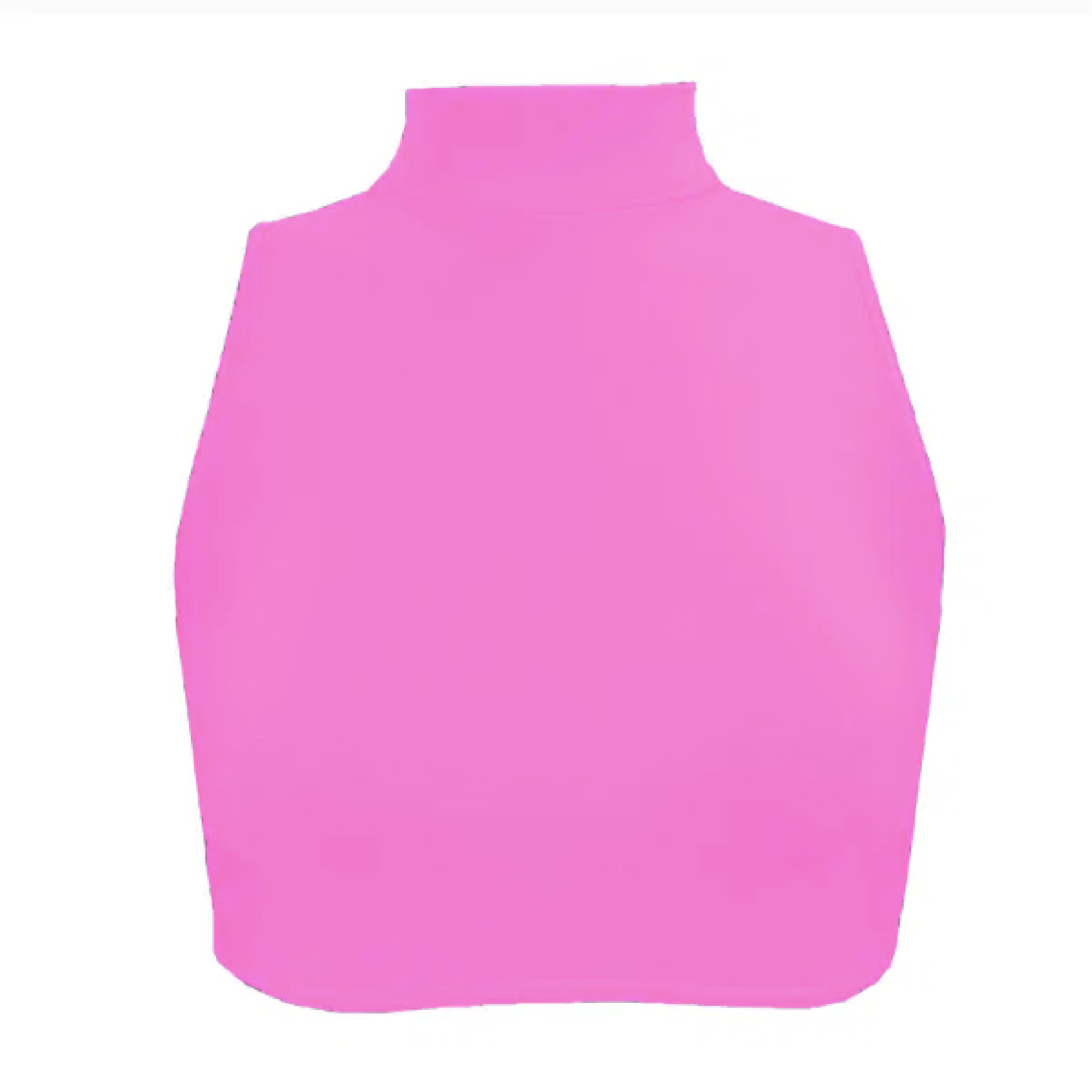 Nylon Lycra High Neck Crop Top ADFP Beginnerwear in Neon Pink
