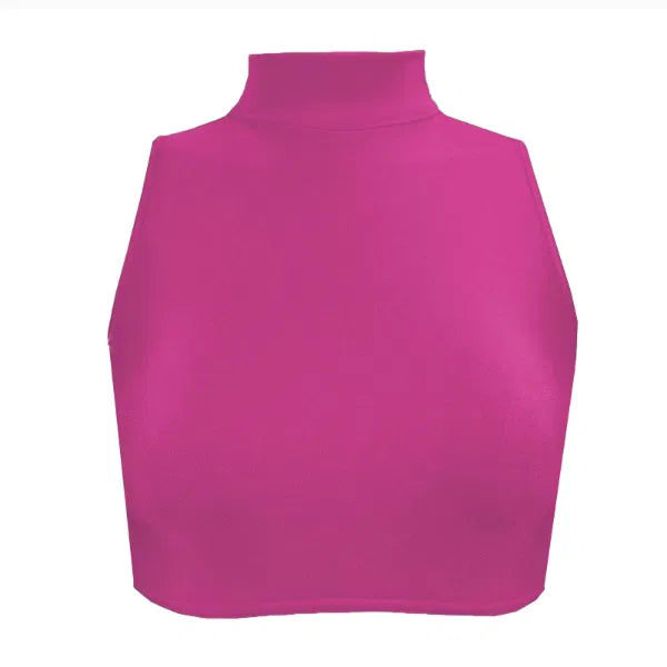 Nylon Lycra High Neck Crop Top ADFP Beginnerwear in Fuchsia