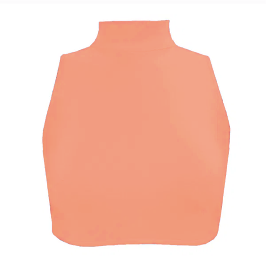 Nylon Lycra High Neck Crop Top ADFP Beginnerwear in Orange