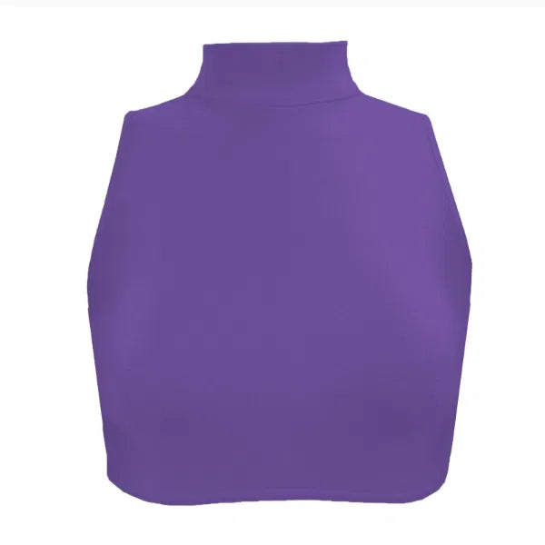 Nylon Lycra High Neck Crop Top ADFP Beginnerwear in Purple