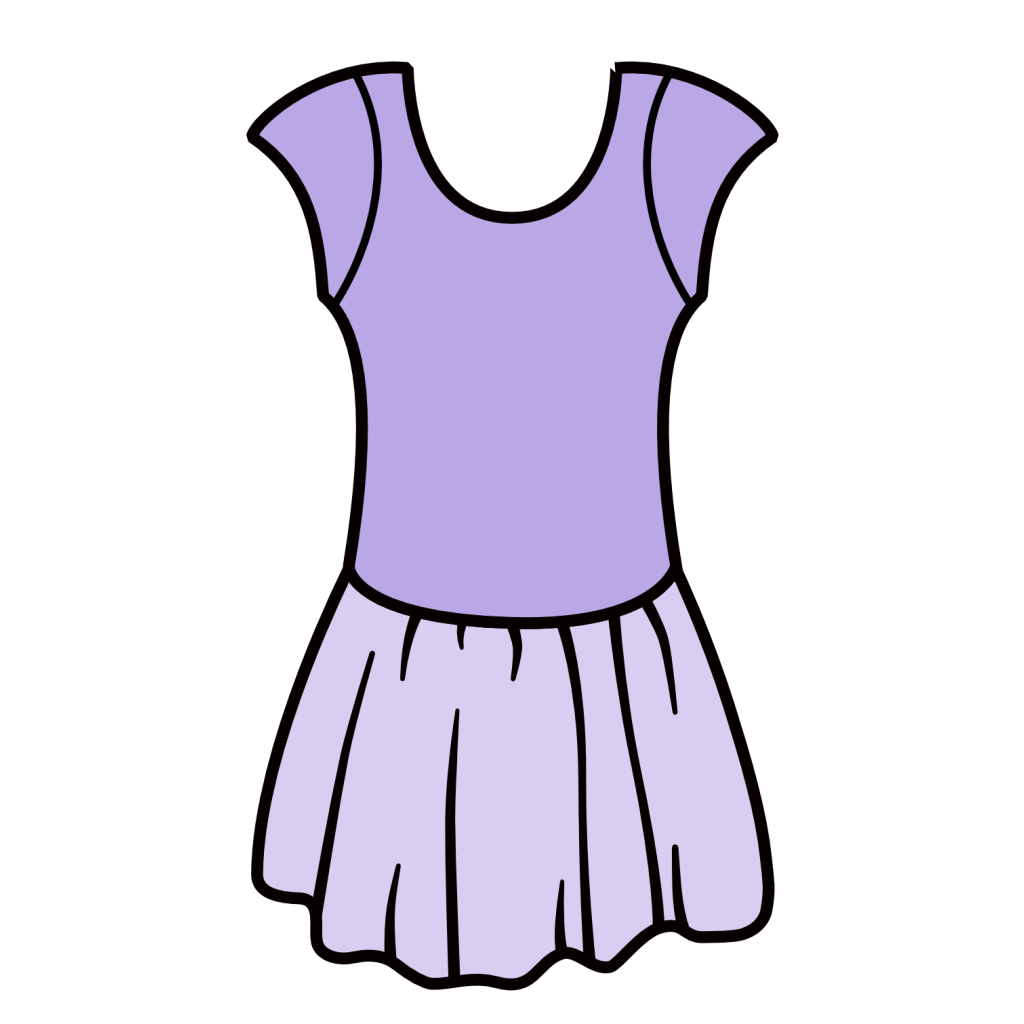 MAISIE - MATT LYCRA CAP SLEEVE SKIRTED LEOTARD (MESH SKIRT)