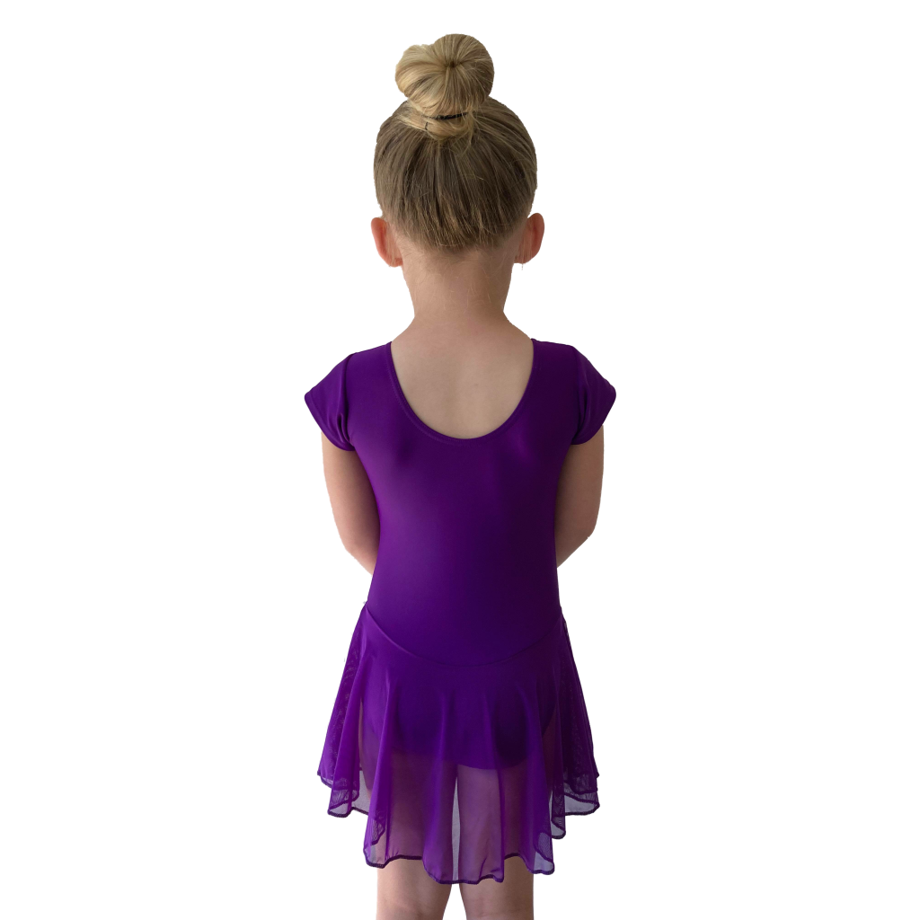 MAISIE - MATT LYCRA CAP SLEEVE SKIRTED LEOTARD (MESH SKIRT)