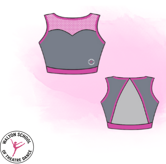 WSOD official crop top in grey Meryl with cerise powermesh panels